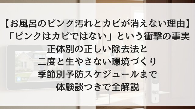 【お風呂のピンク汚れとカビが消えない理由】「ピンクはカビではない」という衝撃の事実！正体別の正しい除去法と二度と生やさない環境づくり・季節別予防スケジュールまで体験談つきで全解説【2026年版】