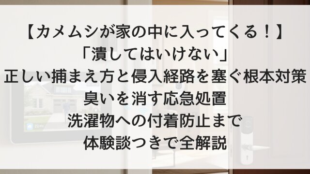 【カメムシが家の中に入ってくる！】「潰してはいけない」正しい捕まえ方と侵入経路を塞ぐ根本対策！臭いを消す応急処置・洗濯物への付着防止まで体験談つきで全解説【2026年版】