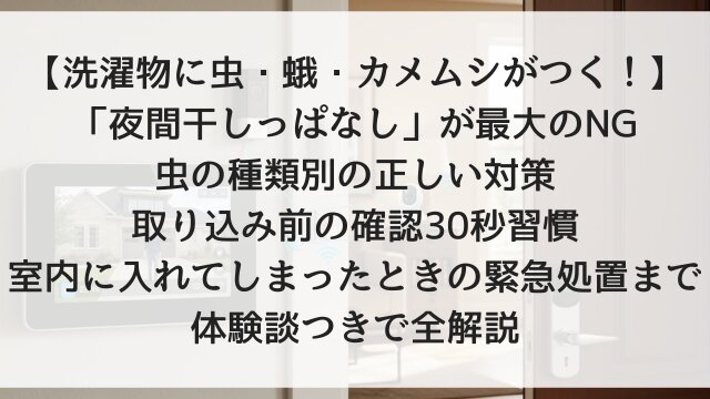 【洗濯物に虫・蛾・カメムシがつく！】「夜間干しっぱなし」が最大のNG！虫の種類別の正しい対策・取り込み前の確認30秒習慣・室内に入れてしまったときの緊急処置まで体験談つきで全解説【2026年版】